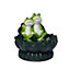 Gardenwize Outdoor Garden Two Frogs on a Lily Pad Water Feature Fountain + Battery Back up
