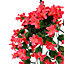 Gardenwize Solar Hanging Primrose Flower 30 LED Lights - Pink