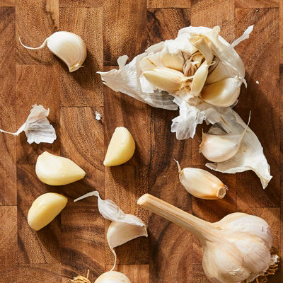 Garlic Bulbs Cristo x 4 - Easy to Grow Hardy Bulbs Ready to Plant in UK Gardens
