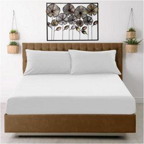 GAVENO CAVAILIA Microfiber Fitted Sheet King White Luxurious Premium Quality Bedsheet