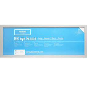 GB Eye Contemporary Wooden Grey Picture Frame - 33 x 95cm