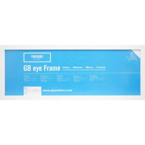 GB Eye Contemporary Wooden White Picture Frame - 33 x 95cm