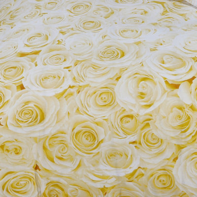 GC GAVENO CAVAILIA Madison roses duvet cover bedding set ochre superking 3PC with flowers design reversible quilt cover