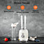 GEEPAS 300W Personal Blender 2 Speed Smoothie Milkshake Maker Pulse Function white