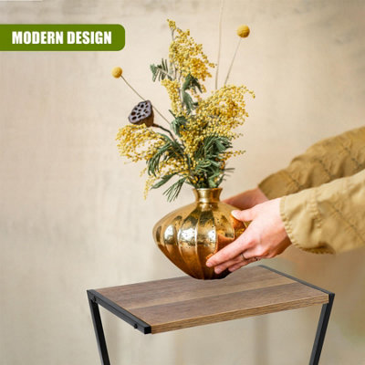 plant palm King Palm Multi Trunk