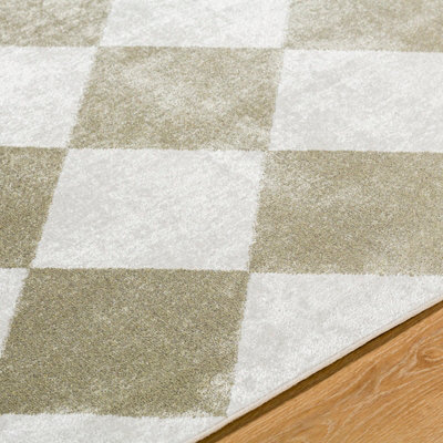 GHISLAINE Machine Washable Modern Boho Diamond Dusty Sage Area Rug 160 x 213 cm