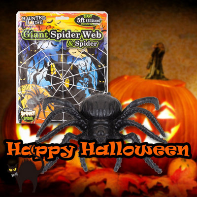 Giant Halloween Spider Web with Spider Decoration Trick or Treat