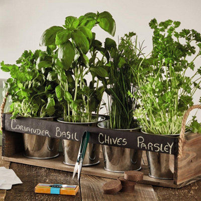 Gift Chalk Board Herb Garden Gift Set