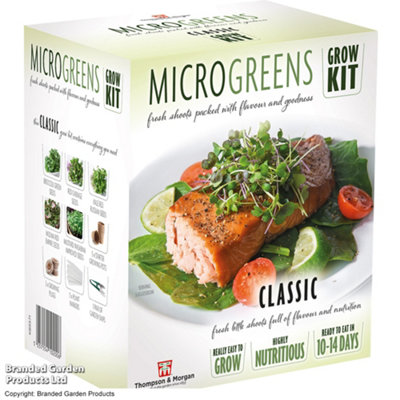 Gift Seed Grow Kit Microgreens Classic
