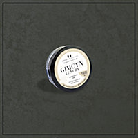 Gimcyn Luxury- Textured, Metallic, Iridescent Wall Paint Sample. Includes 50g of Paint- Covers 0.25SQM -In Colour GREEN AMETHYST