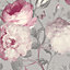 Giorgio Floral Vinyl Wallpaper Pink / Grey Belgravia 8113