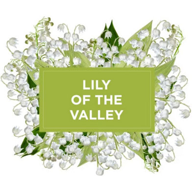 Promo Gel Solide Destructeur D'odeurs Boldair Chez Plein Ciel