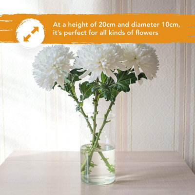 Glass Cylinder Vase 10cm x 20cm for Living Room and Dining Table Centerpiece - 5