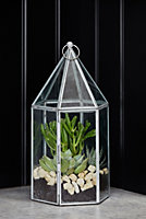 Glasshouse Terrarium - Glass - L18 x W18 x H36 cm - Galvanised