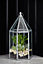 Glasshouse Terrarium - Glass - L18 x W18 x H36 cm - Galvanised