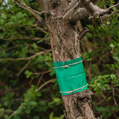 Glue Band Tree Moth & Insect Traps