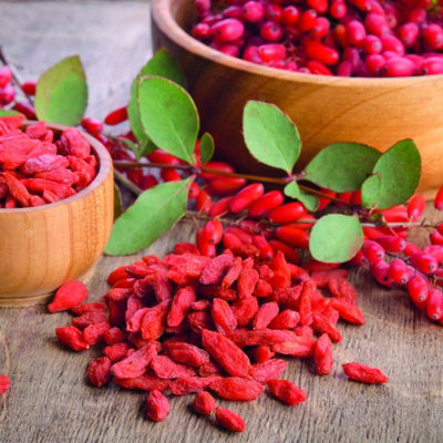 Goji Berry Plant in 9cm Pot - Lycium Barbarum - Hardy Superfood Fruit ...