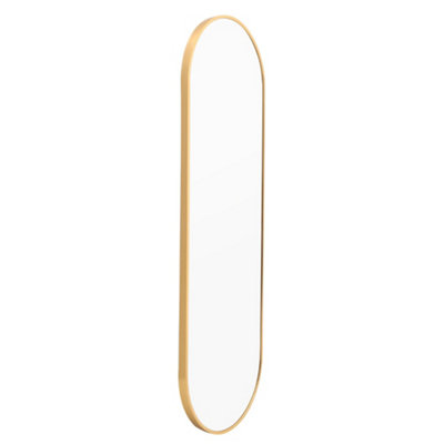 Gold Oval Wall Mounted Framed Full Length Mirror Dressing Mirror 50 x 150 cm