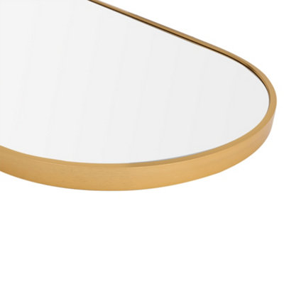 Gold Oval Wall Mounted Full Length Framed Mirror Dressing Mirror 40 x 120 cm