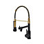 Gold Stainless Steel Side Lever Kitchen Spring Neck Faucet Dual Spouts Kitchen Tap Mixer Tap