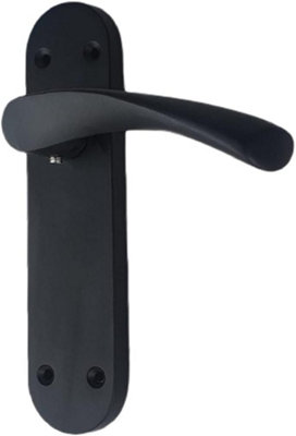 Golden Grace Astrid Door Handles On Backplate Matt Black Finish
