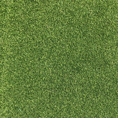Golf 15mm (3100 GSM) Premium Extra Thick Putting Green Outdoor Artificial Grass, Artificial Turf-2m(6'6") X 4m(13'1")-8m²
