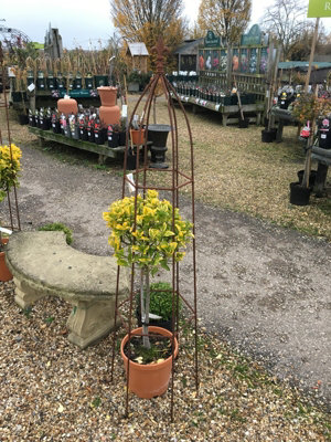 Gothic 5Ft Obelisk Bare Metal/Ready to Rust - Garden Plant Border Support - Solid Steel - L38.1 x W38.1 x H152.4 cm