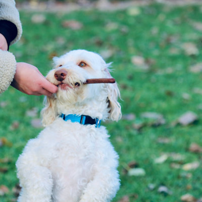 Gourmet Duck Pure Sticks (1kg)100% Meat Natural Dog Treat