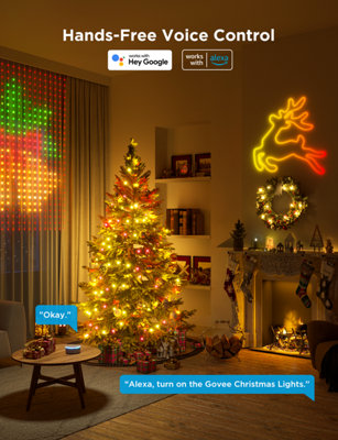 GOVEE CHRISTMAS STRING LIGHTS RGBIC 10M
