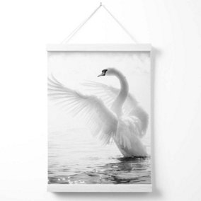 Graceful Swan Bird Black and White Photo Poster with Hanger / 33cm / White