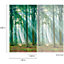Grandeco Biophilic Photographic Sunlight Through Trees 3 lane repeatable mural 2.8 x 1.59m