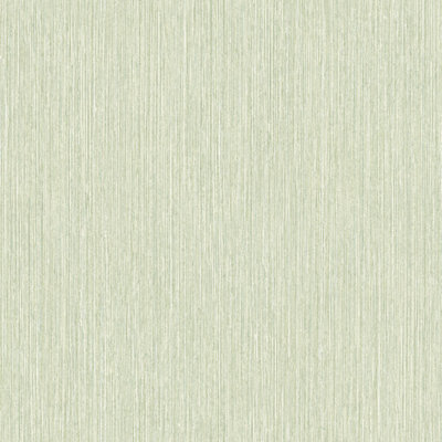 Grandeco Boutique Driftwood Seagrass Effect Texture Embossed Wallpaper, Green