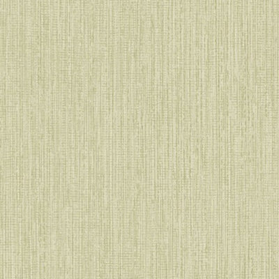 Grandeco Boutique Rays Grasscloth Effect PVC-free Eco Wallpaper, Green