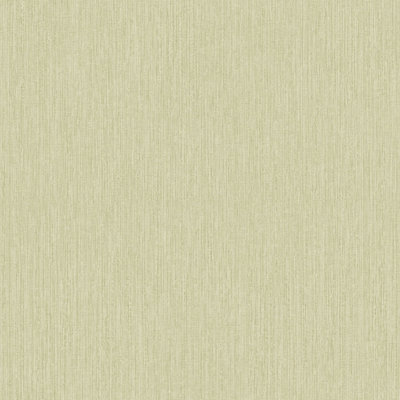 Grandeco Boutique Rays Grasscloth Effect PVC-free Eco Wallpaper, Green