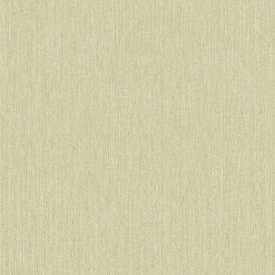 Grandeco Boutique Rays Grasscloth Effect PVC-free Eco Wallpaper, Green
