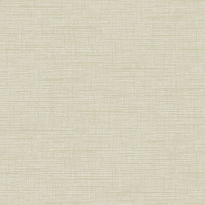 Grandeco Katsu Texture Plain Blown Wallpaper, Beige