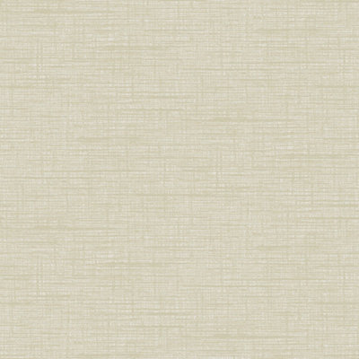 Grandeco Katsu Texture Plain Blown Wallpaper, Beige