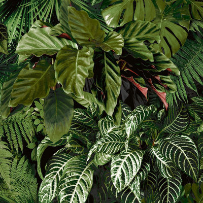 Grandeco Living Wall Tropical Fern Foliage Biophilic Textured Wallpaper, Green