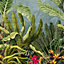 Grandeco Parrot Jungle Green Bold Leaf Repeatable Wallpaper Mural 159 x 280cm