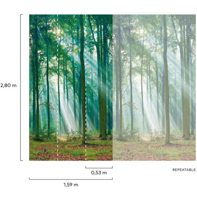 Grandeco Photographic Forest Sunlight Through Trees 3 panel repeatable mural 1.59 x 2.8m