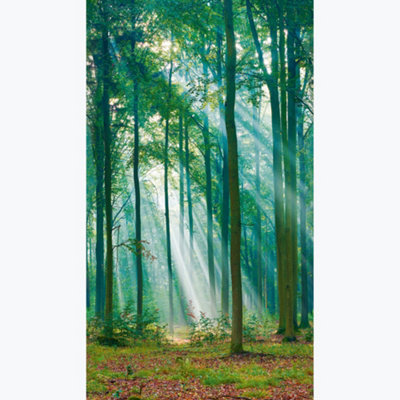 Grandeco Photographic Forest Sunlight Through Trees 3 panel repeatable mural 1.59 x 2.8m