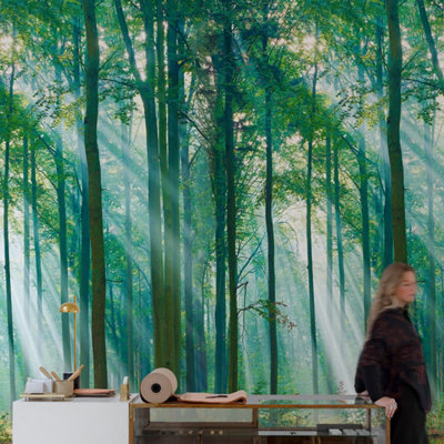 Grandeco Photographic Forest Sunlight Through Trees 3 panel repeatable mural 1.59 x 2.8m