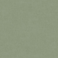 Grandeco Varadero Plain Plaster effect Blown Vinyl Wallpaper, Green