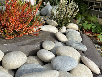 Granite Grey River Cobbles 60-120mm - 25 Net Bags (500kg) Price Comparisons | Compare The Build