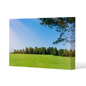 grass field with forest trees and environment public park with sun rays (Canvas Print) / 114 x 77 x 4cm