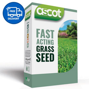 Grass Seed Fast Growing 1.25kg  with Free Applicator Box by Ascot - INCLUDES FREE DELIVERY