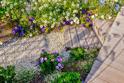 A gravel pathway leading from the base of raised decking stairs, winding through a garden with flowering bushes and shrubs.