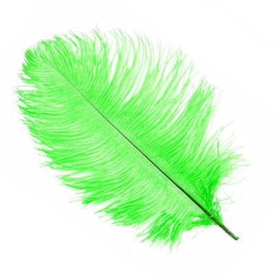 Green 50-60 cm Natural Ostrich Feathers Large Plume, 5pcs