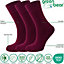Green Bear Unisex Bamboo BURGUNDY Colour Socks-size 3-5 Cushioned Sole - Soft & Antibacterial - 3 Pack