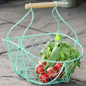 Green Chicken Wire Indoor Kitchen Storage Basket Trug Vegetable Basket Gift Idea